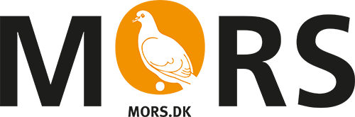 Morsø kommune